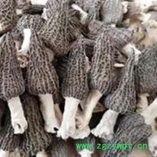 诺源药材行羊肚菌 羊肚蘑 羊肝菜 编笠菌图2