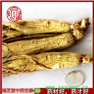 生晒参25支  药典正品 全须白参 原皮参白参  中药材 瑞芝堂产地直供图2