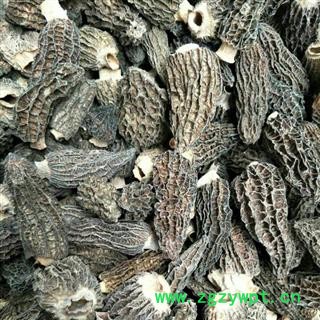 诺源药材行羊肚菌 优质剪柄图2