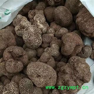 安祁名药松露  黑松露 猪拱菌 地菌图2