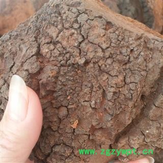 安祁名药正品白桦茸 桦树茸 桦褐孔菌图2