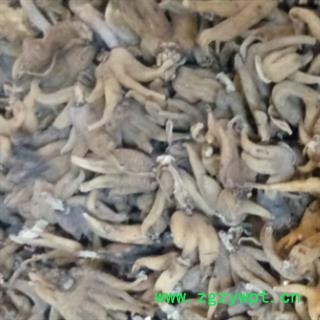 手掌参 手掌参统货 产地 辽宁省图2