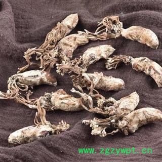 金蝉花 秦岭优质蝉花 日晒无硫500g图4