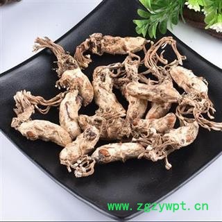 金蝉花 秦岭优质蝉花 日晒无硫500g图3