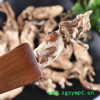 金蝉花 秦岭优质蝉花 日晒无硫500g图2