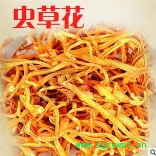 虫草花 精选一级虫草花 金虫草 万信药业 品质保证 产地 吉林省图3