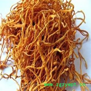 虫草花 精选一级虫草花 金虫草 万信药业 品质保证 产地 吉林省图4