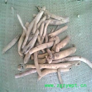 白芍 统个 产地 安徽省亳州市亳州药市图2