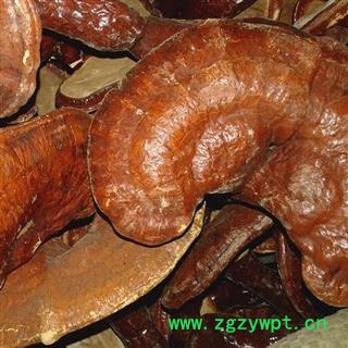 灵芝 个 产地 吉林省长春市德惠市图2