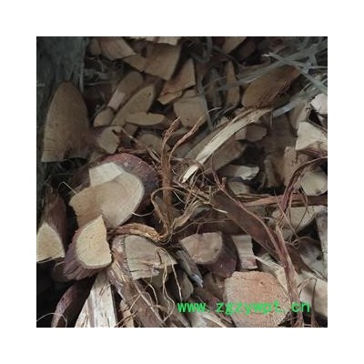 白蔷薇根 蔷薇根 野蔷薇根 统 产地 浙江  双鹏药材行 可提供打粉