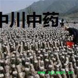 靑杠黑木耳一级，河北库存50000可售图3