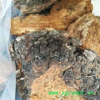 桦树茸 正品 产地 辽宁省   蕴乾药业   冷货大全  品种齐全图2