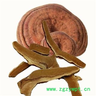 大量批发长白山灵芝半野生紫灵芝东北灵芝产地直销切片中药材图2