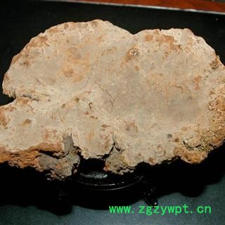 灵芝 斑褐孔菌 野生斑褐孔菌 瑞芝堂产地直销1000克图3