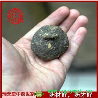 黑玛卡选货 秘鲁黑玛卡 药典正品 中药材 瑞芝堂产地直供1000克 规格齐全 一站购齐图2