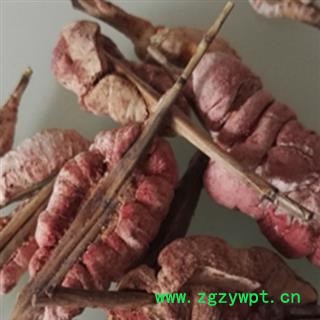 竹黄 统货 产地 浙江省图2