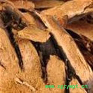 绵马贯众 统 产地 辽宁省安国市场批发零售大全图2