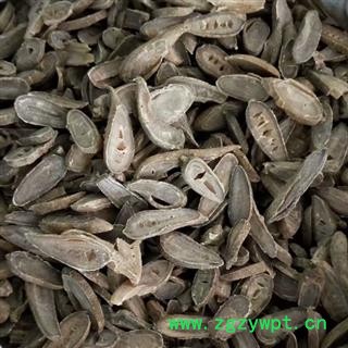 郁金 郁金统片 产地 广西壮族自治区图2