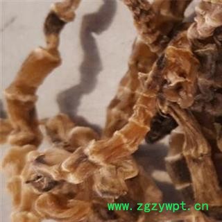 竹节参 统 产地 云南省图2