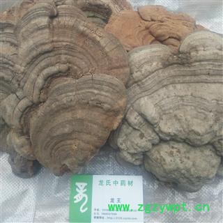 木灵芝 统货 产地 四川省成都市双流县图3