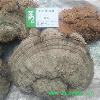 木灵芝 统货 产地 四川省成都市双流县图4