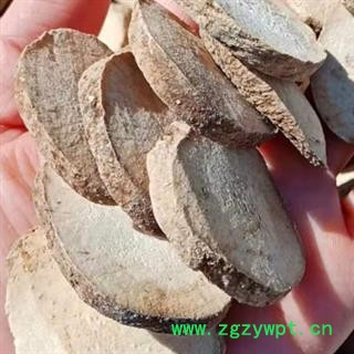 中药材泽泻 精选正品泽泻 无硫泽泻 人工晾晒精挑细选 自然色泽味道清香 无添加无熏染 安国中药材批发零售大全图2