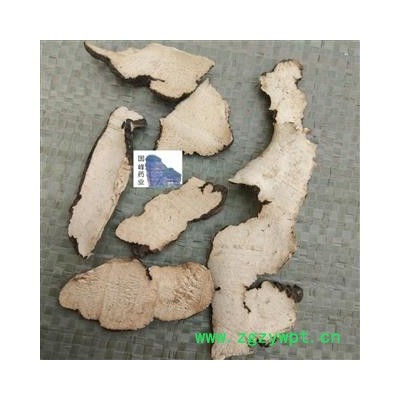 猪苓 猪屎苓水洗选片 净货 无曾重 含量好 低价销售 国峰药业 重在品质 产地 陕西省