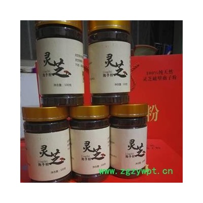 灵芝孢子粉 破壁灵芝孢子粉 产地 山东省聊城市冠县