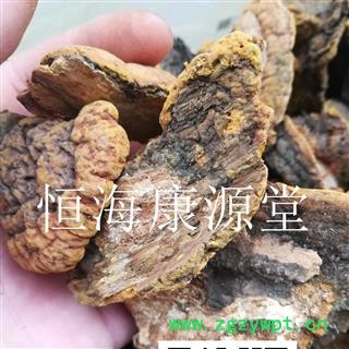 桑黄 桑黄统 产地 黑龙江省图2