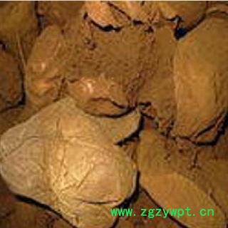 恒海康源堂提昂、马勃 海绵马勃 选统 无硫 可打粉 产地 浙江省绍兴市新昌县图3