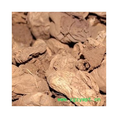 恒海康源堂提昂、马勃  海绵马勃 选统 无硫 可打粉 产地 浙江省绍兴市新昌县