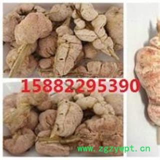 精选天然野生天竺黄 竹膏 天竹黄 竹糖 苦竹花 库存500可售图2