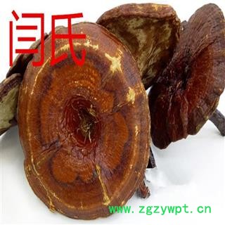 灵芝 大个红灵芝无苦味选货 产地 吉林省白山市长白朝鲜族自治县图2