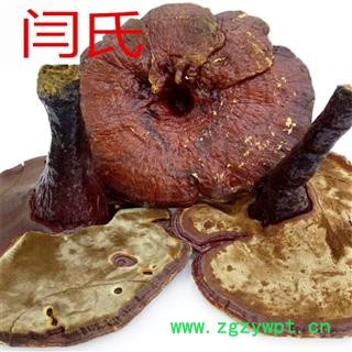 灵芝 大个红灵芝无苦味选货 产地 吉林省白山市长白朝鲜族自治县图3