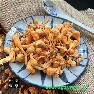 虫草花 统货-虫草子实体-煲汤泡茶必备 产地 内蒙古自治区呼和浩特市图4