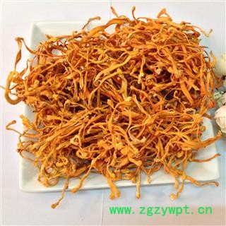 虫草花 统货-虫草子实体-煲汤泡茶必备 产地 内蒙古自治区呼和浩特市图2
