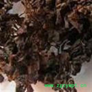 海藻 统 产地 山东省图2