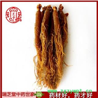 红参 红参无糖20支 药典正品 中药材瑞芝堂产地直销图2