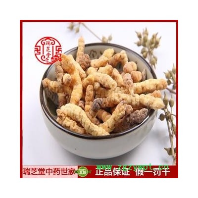 地蚕统货 安徽地蚕 药典正品 中药材 瑞芝堂产地直供1000克 规格齐全 一站购齐