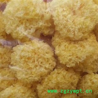 银耳 银耳统货 产地 辽宁省图2