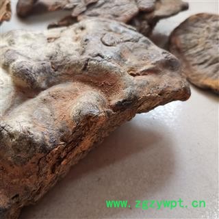 瑞森药材行云南灵芝 粗毛褐孔菌 槐蘑图2