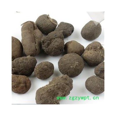 瑞森药材行雷丸  竹苓 雷实 竹铃芝