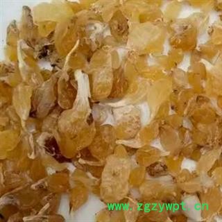 中药材薤白 本品为不熏硫无添加的地道中药材 新鲜新货 自然晾晒 层层筛选 去除杂质 色正无杂 品质上乘 放心之选 安国中药材批发零售大全图2