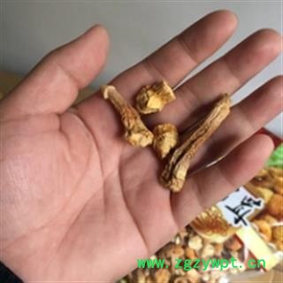 安祁名药 松茸 姬松茸图2