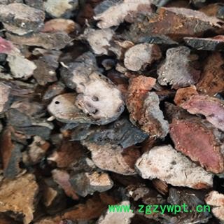 拳参 中药材拳参统片 产地 甘肃省安国市场批发零售大全图2