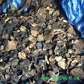 野生薄树芝 黑块灵芝 产地直销图4