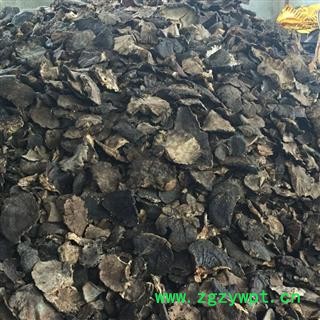 野生薄树芝 黑块灵芝 产地直销图3