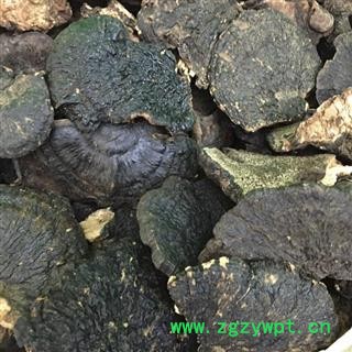 野生薄树芝 黑块灵芝 产地直销图2