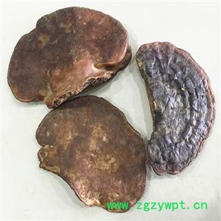 云南纯野生无柄赤芝 产地直销图3