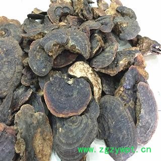 云南纯野生无柄赤芝 产地直销图4